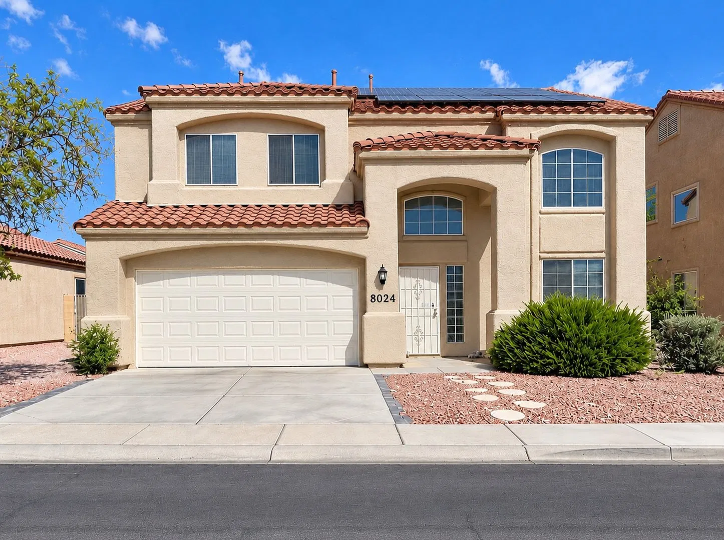Tamarisk — Photo 1