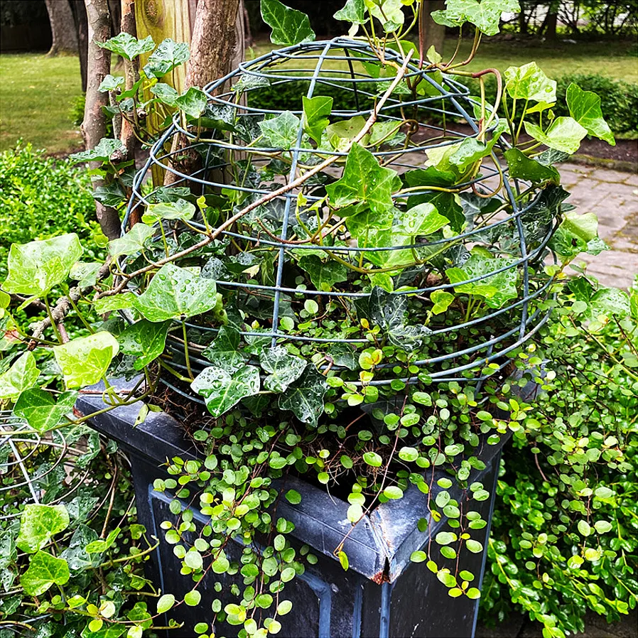Luxe garden home minutes from downtown Princeton — Photo 2