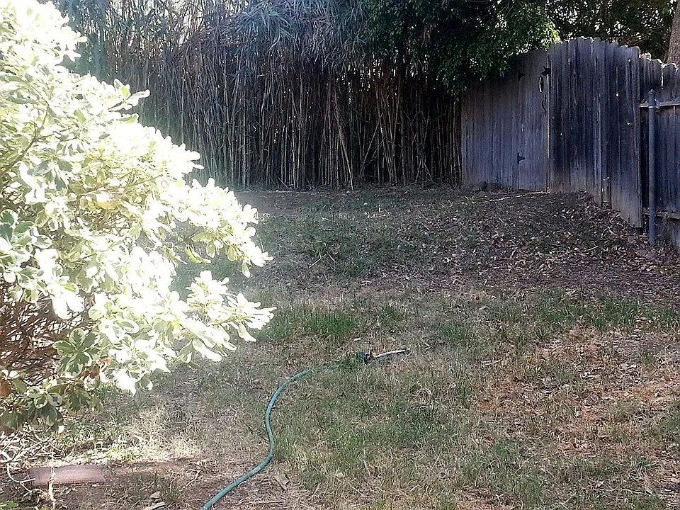 large fenced yard
