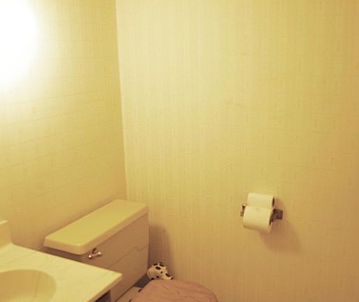 Half bath on 1st floor