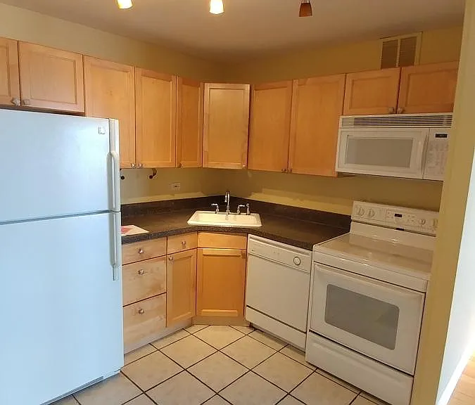 2650 N Lakeview Ave #2207 — Photo 6