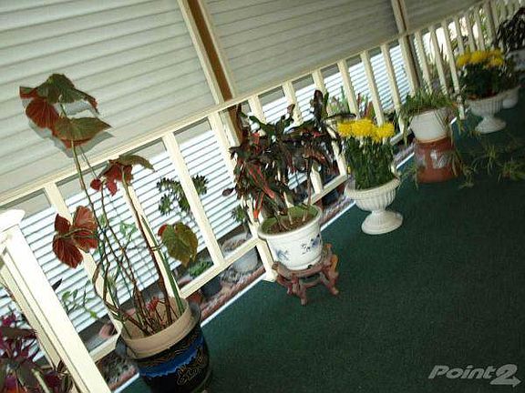 Aluminum Siding For Privacy