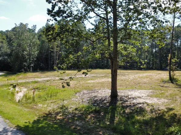 6161 Beaver Dam Rd, Adams Run, SC 29426