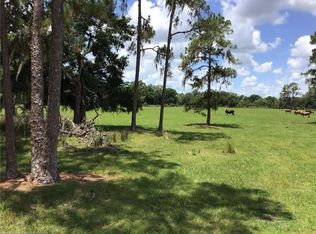 42755 State Route 64 Rd E, Myakka City, FL 34251