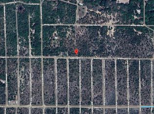 376 Washington Dr, Hawthorne, FL 32640
