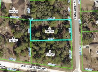 11121 Jenny Wren Rd, Weeki Wachee, FL 34614