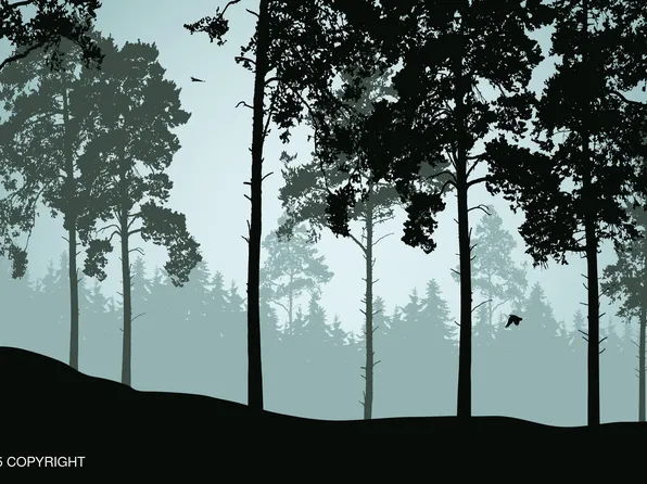 20032 E Caughtabigone Ave, Talkeetna, AK 99676