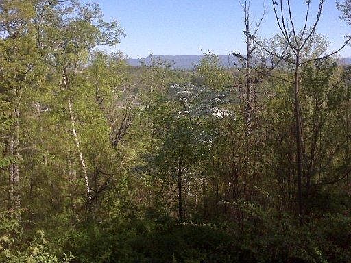 3rd image of Falcon Crest Dr