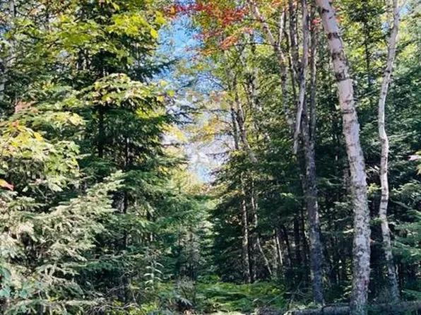 Tobique Rd NE, Remer, MN 56672