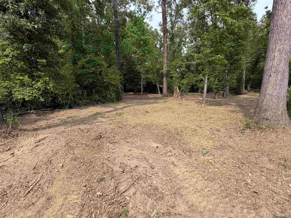 4343 Feliciana Dr, Clinton, LA 70722