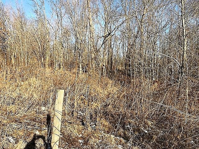 2nd image of 7450 Boundaries Rd