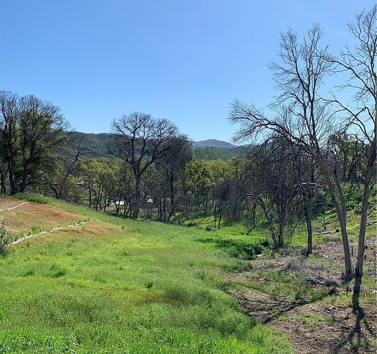 1st image of 9498 Copsey Creek Way