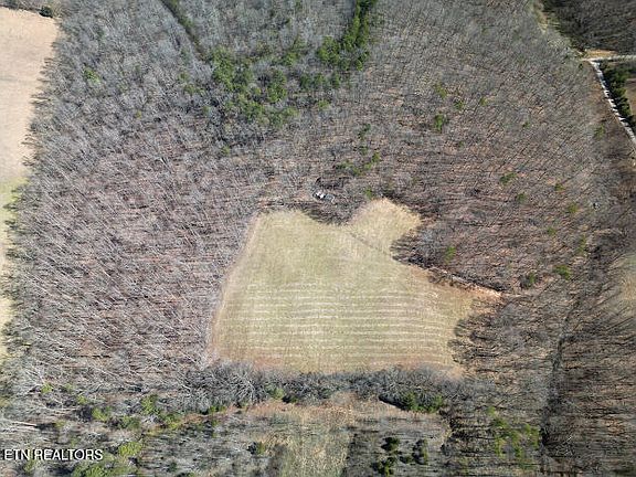 2nd image of 303 Tar Town Hollow Ln
