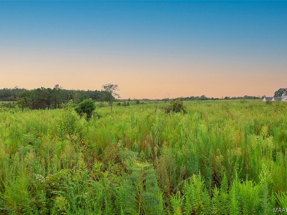 9/ACRE Highway 87, Samson, AL 36477 MLS 545875 Zillow