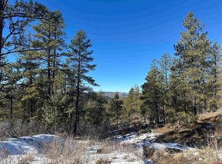 1742 View Rd, Pagosa Springs, CO 81147