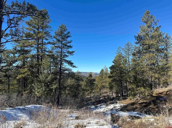 1742 West View Road, Pagosa Springs, CO 81147