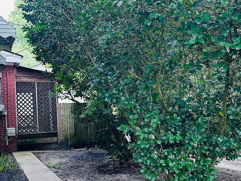 Mature landscaping