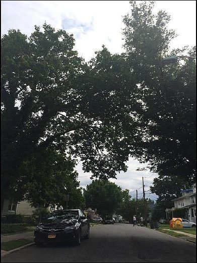 2nd image of 320 Crestview Pl