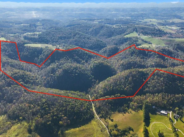 Seven Springs Hollow Rd, Castlewood, VA 24224