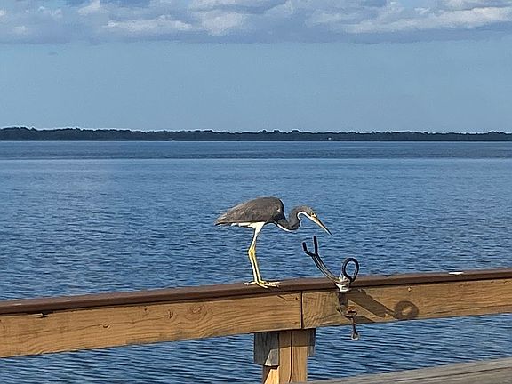 Dock 
