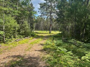 V/l 42ac N Spite Ave, Grayling, MI 49738