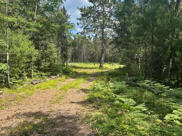V/l 42ac N Spite Ave, Grayling, MI 49738