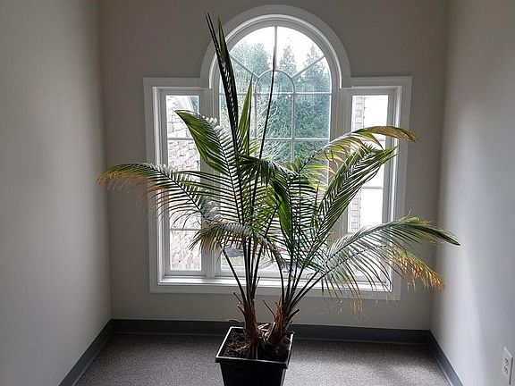5th image of 404M Harrison Ct APT 12