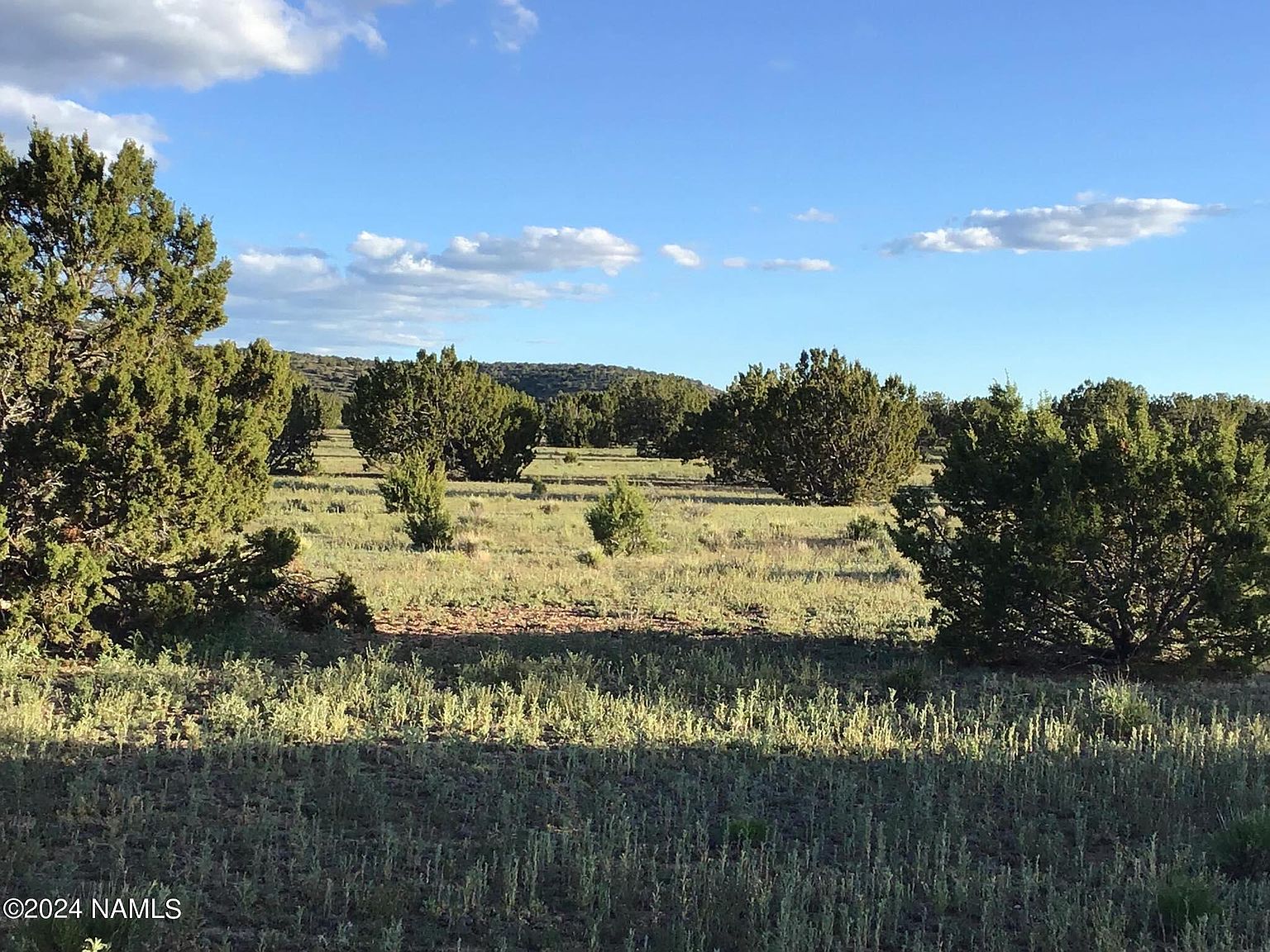 14020 Howard Mesa Loop #417, Williams, AZ 86046 | MLS #196179 | Zillow