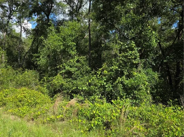 6301 E Quincy St, Inverness, FL 34452