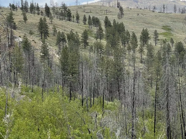 960X Knox Rd, Riverside, WA 98849