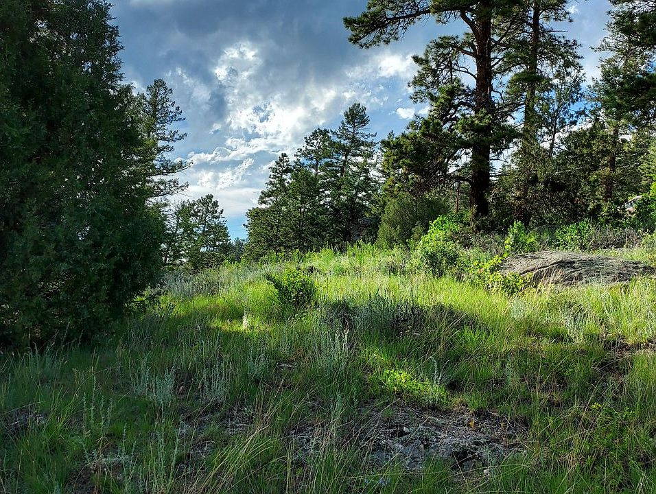 1st image of 256 Pinyon Trl