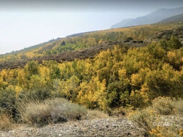 Ryndon Parcel, Elko, NV 89801