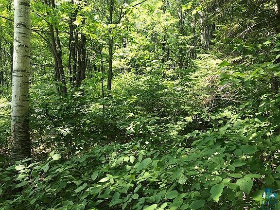 5th image of xxx Blackwoods Dr