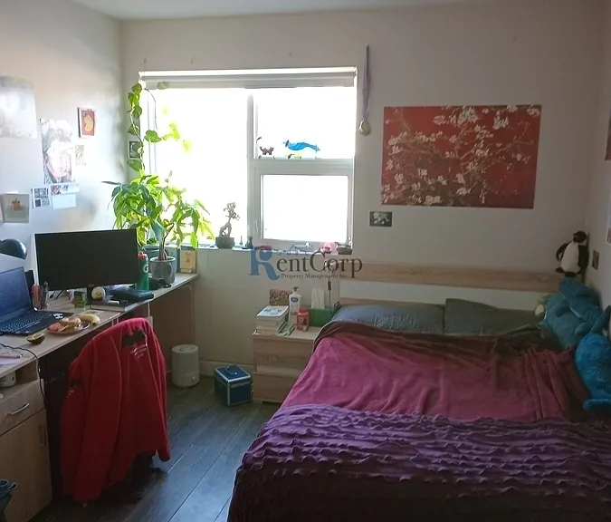 218-338 Albert St #218 — Photo 23