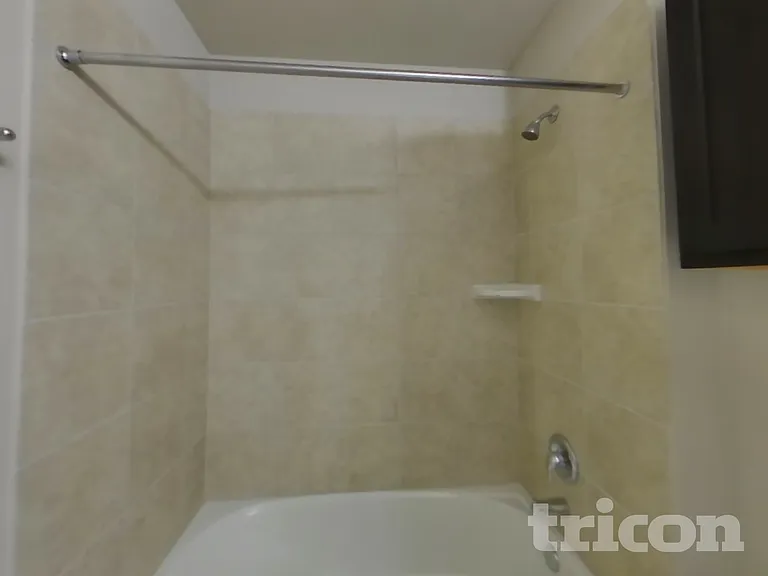 214 Gambel Oak Way — Photo 15