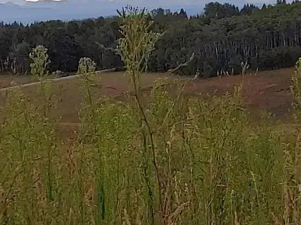 Tbd E 1200 N, Ashton, ID 83420