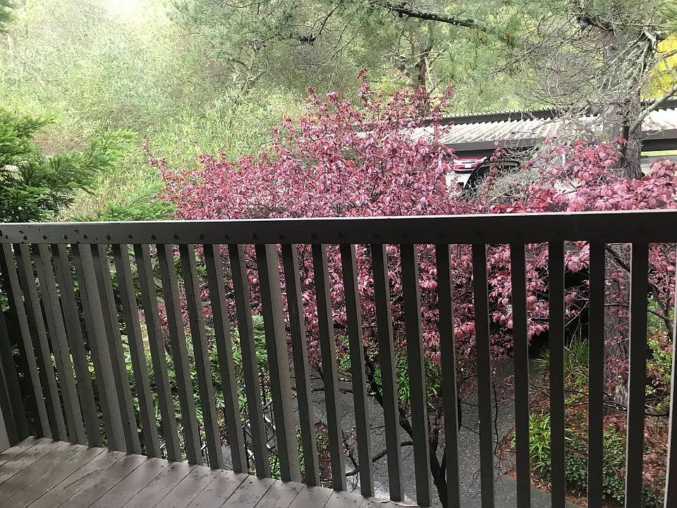 1st image of 8333 Shelter Creek Ln