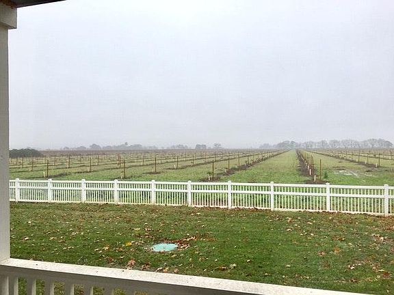 View from Covered Porch