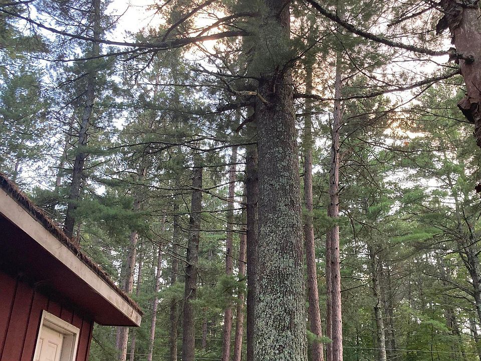 353 S Lake Lawrence Rd NE, Outing, MN 56662 MLS 6378925 Zillow