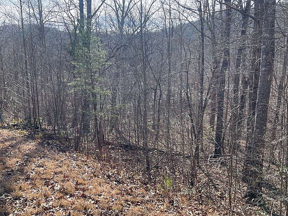 3rd image of 16 Shallow Creek Cir