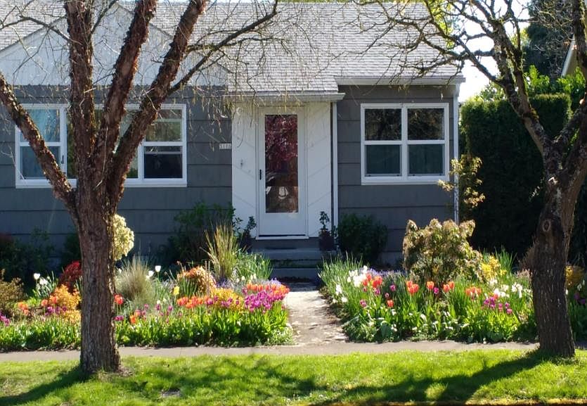 Show stopper in spring  