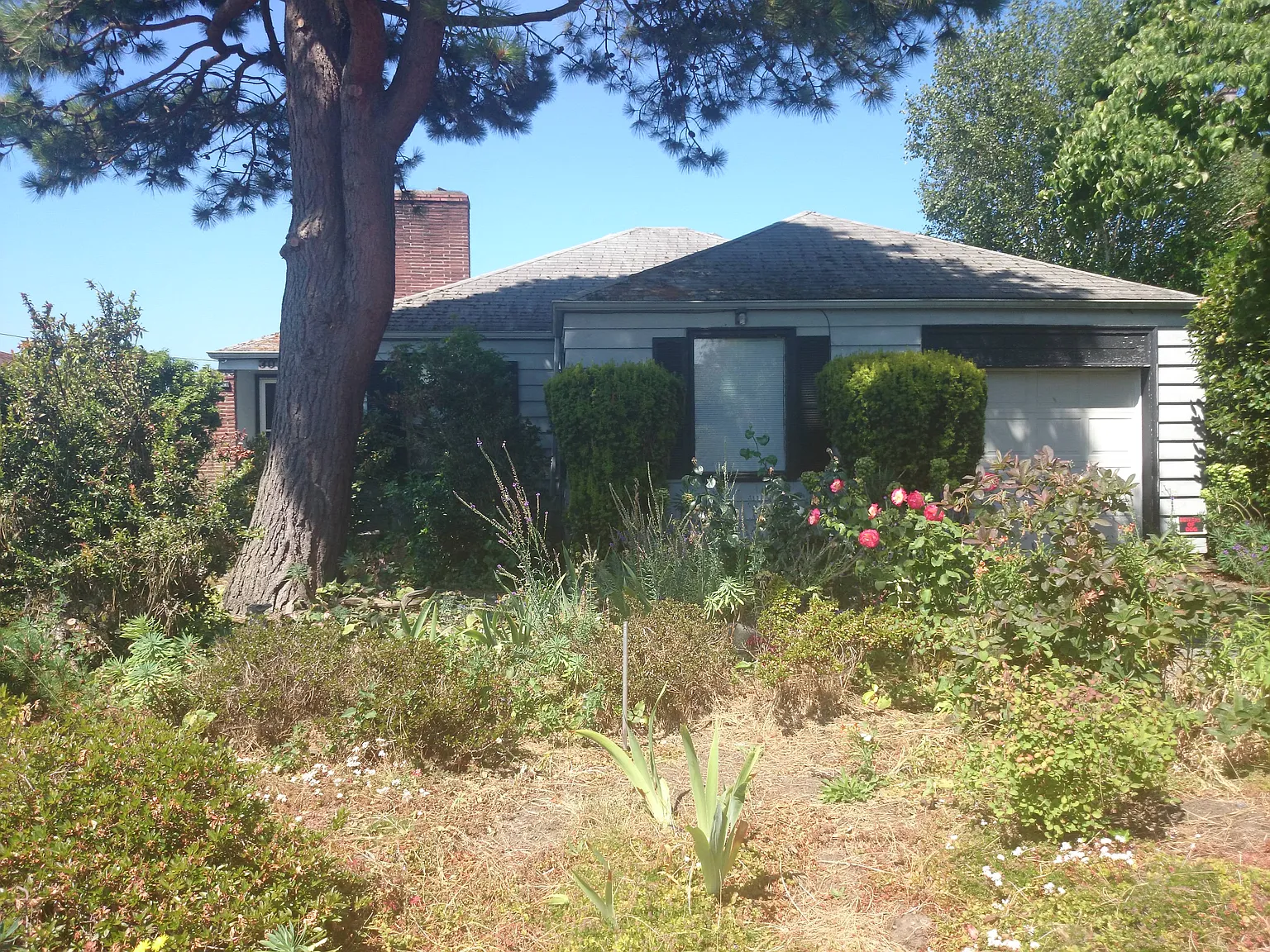 3011 29th Ave W photo 1