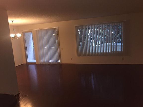 Large Living room & dining room 