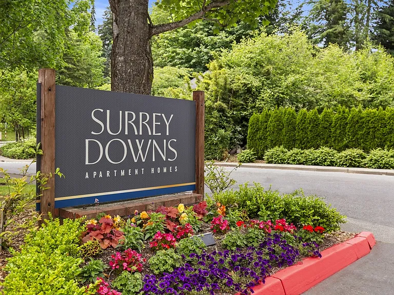 Surrey Downs — Photo 7