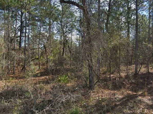 14390 English Sparrow Rd, Brooksville, FL 34614