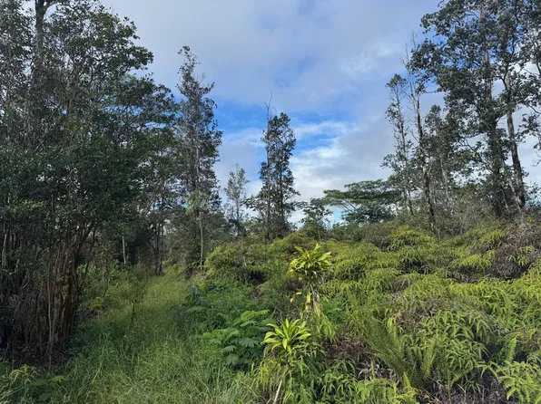 Road 10 Poouli Lot 5751, Kurtistown, HI 96760