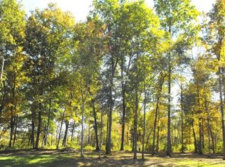 LOT 20 Tom Patterson Trl, Dandridge, TN 37725