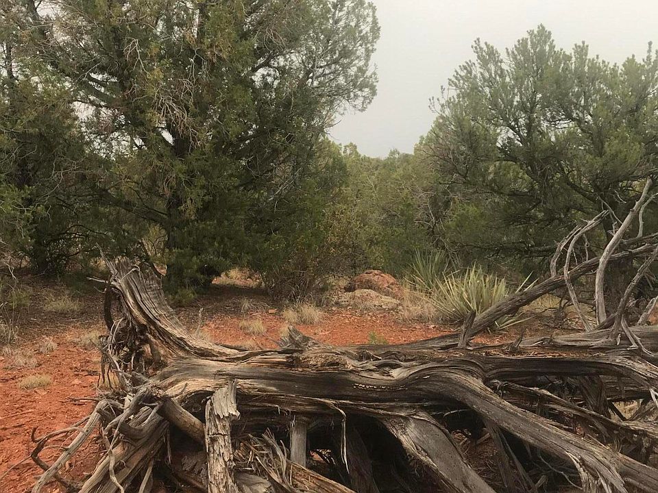 1st image of 34655 El Charro Ln