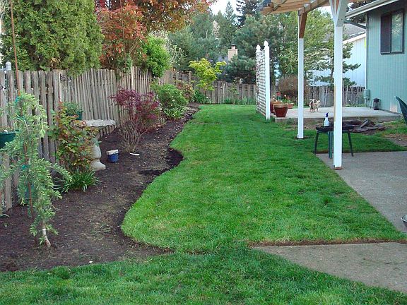 Backyard/Covered patio