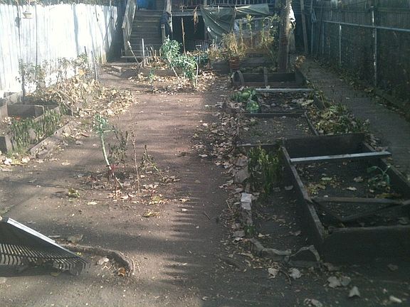 The Yard/Perfect Gardening